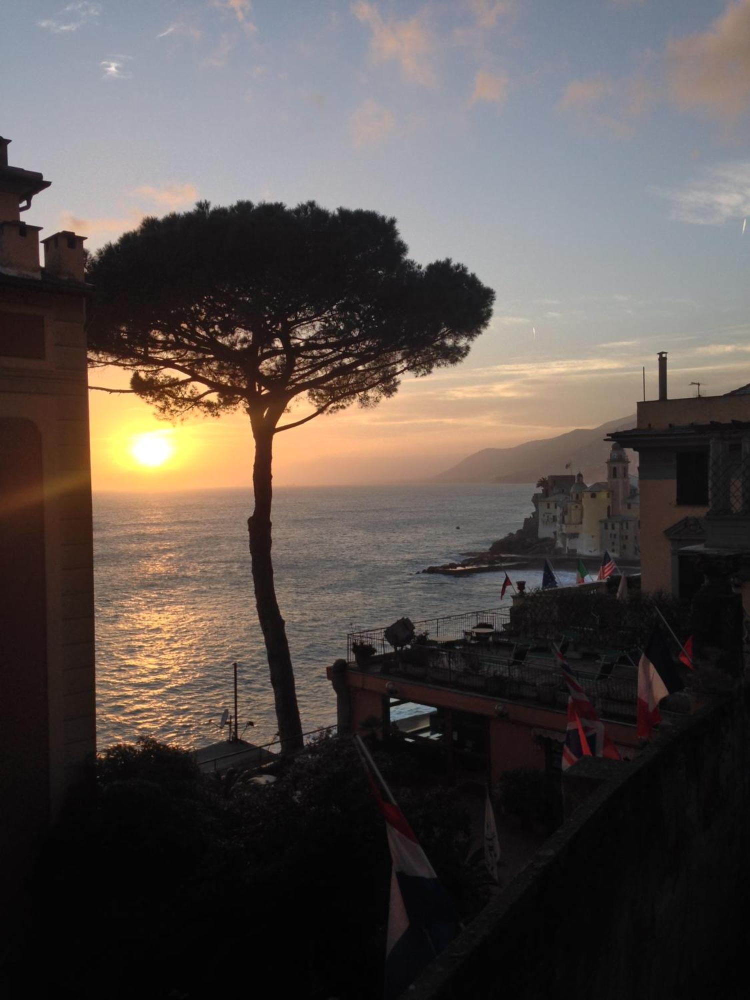A Un Passo Dal Mare Apartment Camogli Bagian luar foto